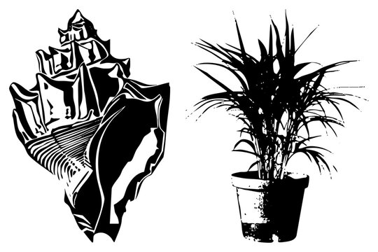 High contrast silhouette of a (whelk/sea snail ) parlor palm (indoor frond friend). Clean, expressive strokes for branding, decor, posters.