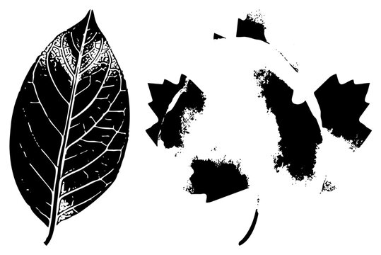 Crisp leaf (folio/green whisper) with gritty ink blots evoking nature&rsquo;s graffiti. contrast suggests autumn decay or urban forest art ideal for logos, prints, eco brands seeking