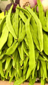 Judia verde ecol&oacute;gica natural sin herbicida 