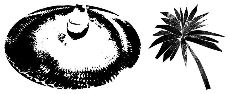 Bold stencil graphic of a shiitake cap spiky palm frond. High contrast halftone texture evokes vintage punk zine vibe ideal for edgy branding or urban decor.