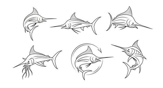 Marlin Fish Sketch Set in Various Poses for Marine Wildlife Designs