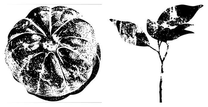 Gritty halftone squash (pie pumpkin/jack o&rsquo; lantern gourd) with stem and leaves, ideal for Halloween posters or rustic branding &ldquo;pumpkin patch&rdquo; meets vintage print.