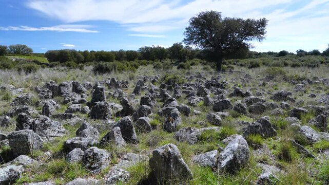 Landscapes at the Castro de La Mesa de Miranda and the La Osera necropolis in Chamartin. Province of Avila. Castile and Le&oacute;n. Spain. Europe