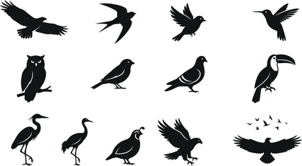 Fototapeta premium Bird Silhouette Set Vector Collection Isolated on White Background