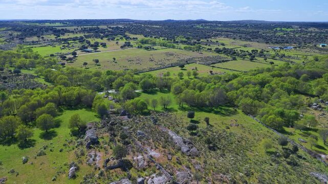 Aerial drone view of the spring landscape in the Abadengo region of Salamanca province, Castile and Le&oacute;n, Spain, Europe