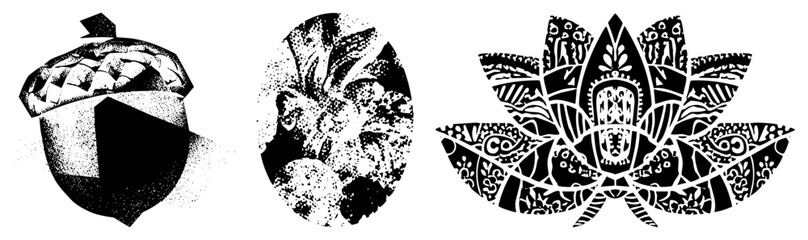Obraz premium Bold acorn graphics nutcase, cap & cup, or oak fruit each with unique texture halftone, stippling, or zentangle. Great for nature branding, eco labels, autumn decor.