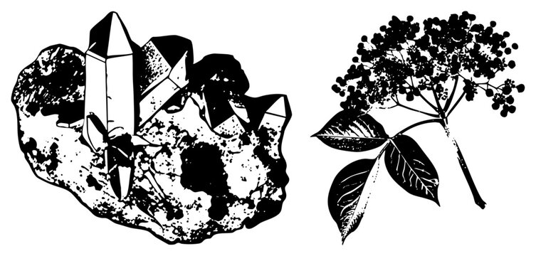 Raw quartz & elderberry sprig skid lid for mystic vibes, brain bucket for esoteric design. Stark black/white cutout evokes grunge woodcut, ideal for spiritual branding or boho decor.