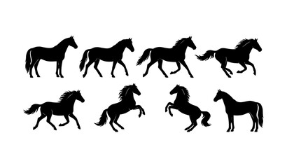 Black horse silhouette vector set with running standing and rearing equine poses isolated on white background © labu