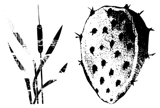 Prickly pear & bulrush in gritty halftone, wild desert flora with rustic charm. Tunas/nopalitos evoke Southwest vibes, arid landscapes. Ideal for edgy branding or Southwestern decor.