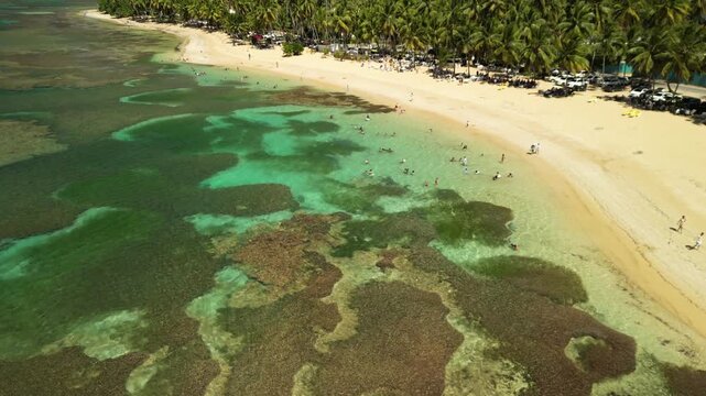Wide aerial view of Las Ballenas Beach with peaceful Caribbean sea, white sand coastline, tropical greenery and people swimming in calm clear water.