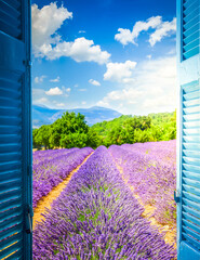 Lavender field with summer blue sky through wooden shutters, France © neirfy