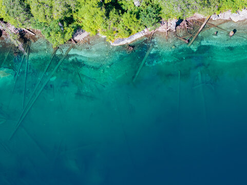 Aerial view of a rocky shoreline with submerged logs in clear turquoise water and a lush green forest in Alaska, United States.
