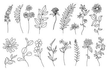 Naklejka premium Hand-drawn botanical sketch features delicate, varied plant stems. Each design showcases unique leaf shapes and flower patterns. Elegant lines evoke a calm, natural aesthetic for design projects