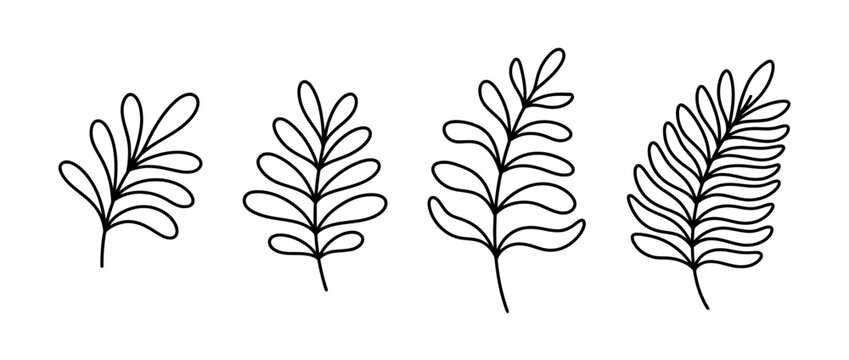 palm-frond cute monoline vector set collection