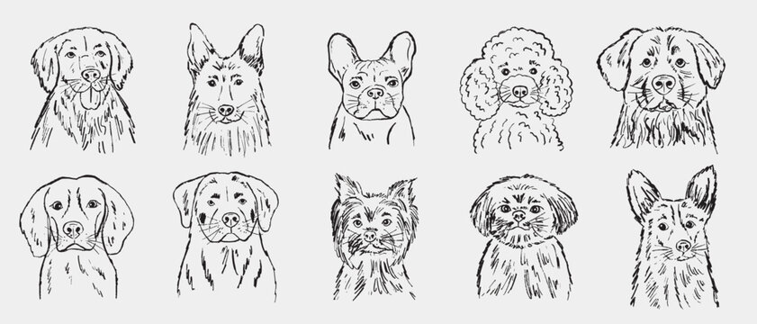 Dog breed portraits for logos, greeting cards, labels, posters, pet industry branding. French bulldog, golden retriever, poodle. Hand drawn vector sketch illustration in vintage crayon charcoal style.