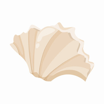 Beige Scallop Fan Seashell Isolated Illustration on White Background