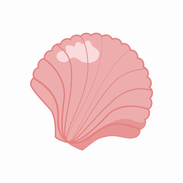 Pink Scallop Fan Seashell Isolated Illustration on White Background