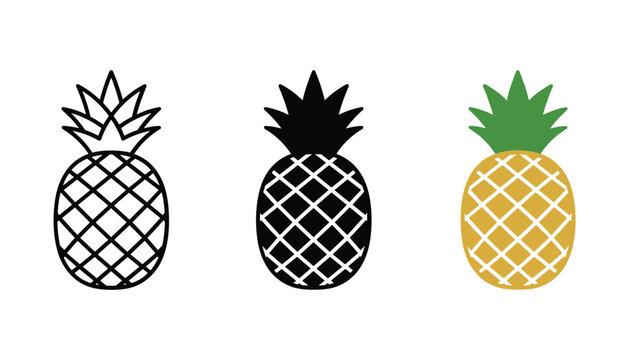 Tropical pineapple fruit icon in outline solid and colorful variations representing exotic food and summer vacation