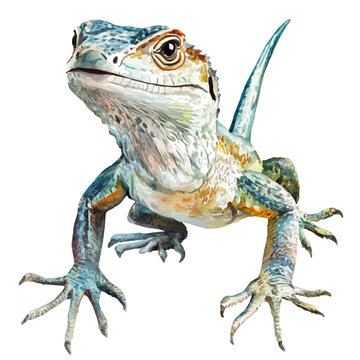 watercolor painting of Lizard, isolated on a white background.