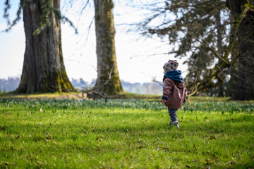 Obraz premium Toddler exploring a large park with old trees