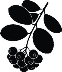 Silhouette design of a ripe rowan berry branch illustration vector © Ummei