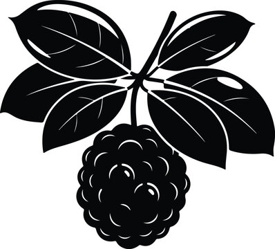 Silhouette design custard apple fruit on a leafy branch botanical illustration vector