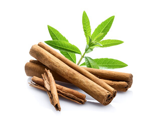Cinnamon bark with lippia leaves © Dionisvera