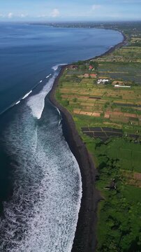 Aerial curved coastline with peeling waves and fertile farmland drone oceanography style footage showing rhythmic breakers, coastal currents and patchwork paddies near volcanic,Bali,vertical video
