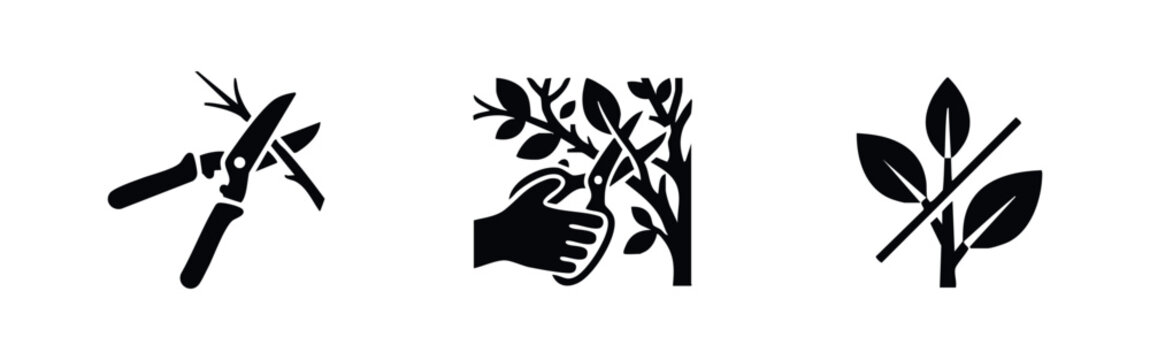 Minimalist black and white icons showing gardening shears pruning branches and leaves, ideal for horticultural or landscaping instructional content.