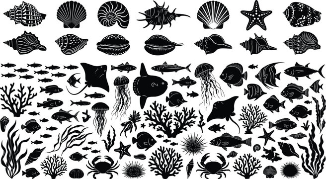 Marine life silhouette collection featuring tropical fish seashells coral jellyfish and ocean animals vector illustration set
