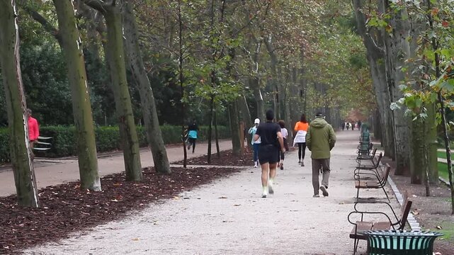 Runner velocidad, footing y jogging en parque entrenando corredores y persona paseando con &aacute;rboles y naturaleza
