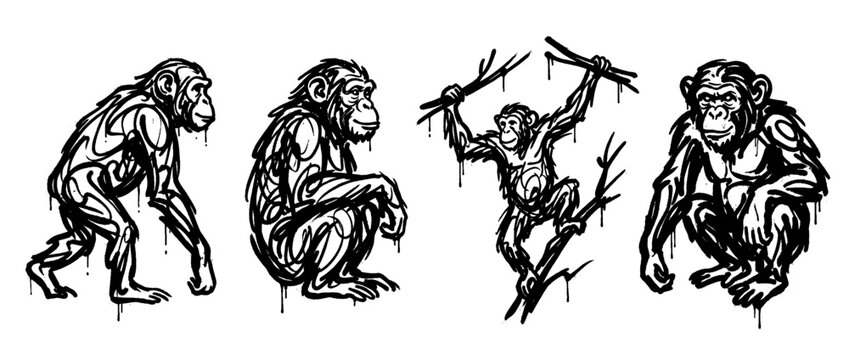 chimpanzee , spray paint style , vector 