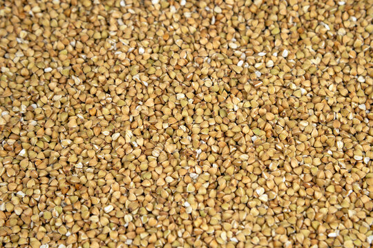 Green buckwheat groats scattered in close view on neutral surface