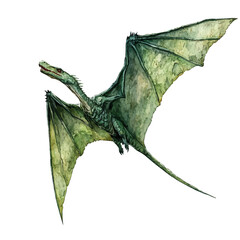 Pteranodon, soft and charming watercolor, isolated on a white background, delicate and elegant style. © teralis