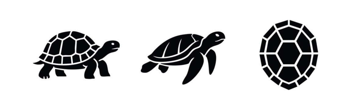 Set of black turtle and tortoise silhouette icons featuring a land tortoise, swimming sea turtle, and shell pattern on white background.