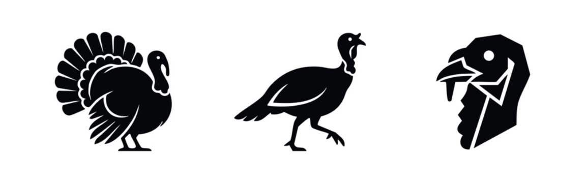 Set of minimalist black turkey silhouette icons: a strutting bird, walking profile, and head close-up. Perfect for Thanksgiving and autumn themes.