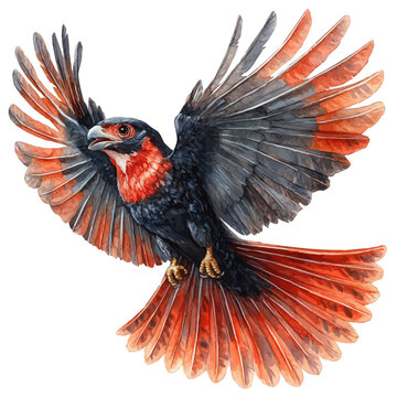 Microraptor, detailed watercolor painting, isolated on a white background.