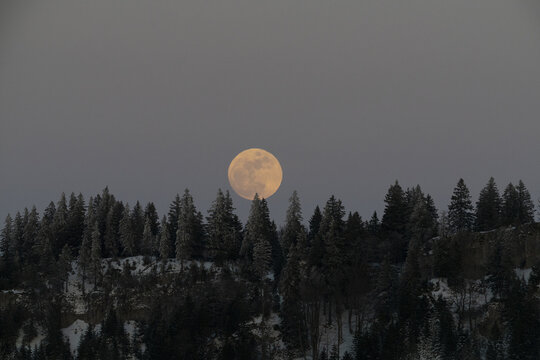 View of the full moon rising behind snow-covered pine trees and the rocky cliffs of Creux du Van in Provence, Vaud, Switzerland.