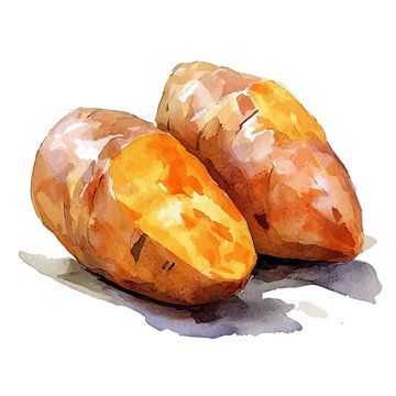 Baked Sweet Potatoes, beautiful watercolor illustration, isolated on a white background, soft and delicate colors.