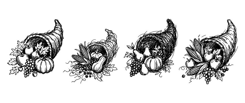 cornucopia , pen scribble , kid Hand drawn , vector