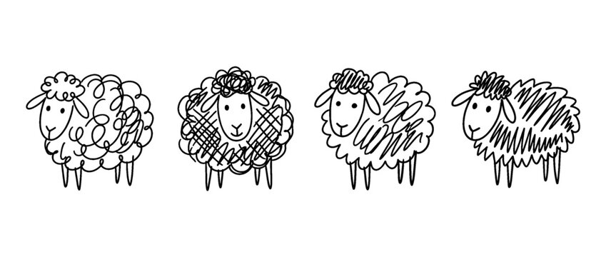 sheep , pen scribble , kid Hand drawn , vector