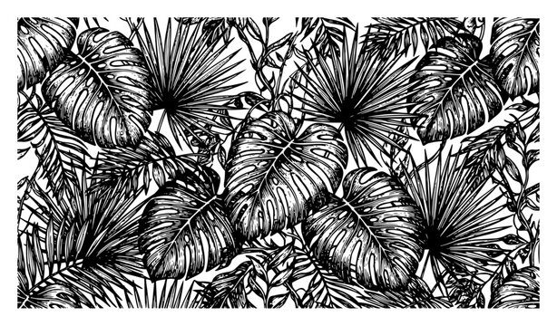 Tropical leaves pattern with monstera and palm fronds black and white engraved style