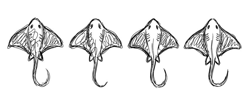 stingray , pen scribble , kid Hand drawn , vector