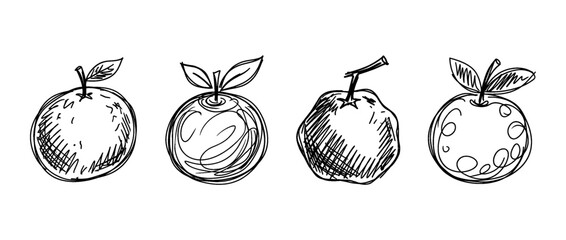 Obraz premium tangerine , pen scribble , kid Hand drawn , vector