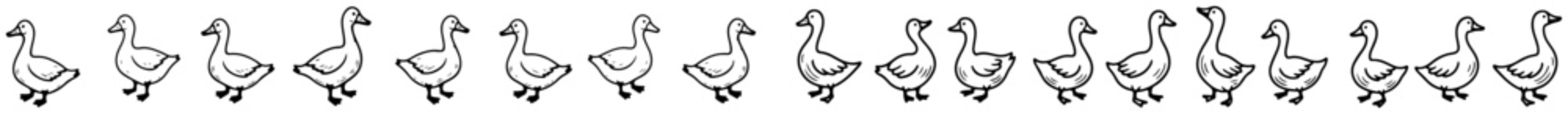 Geese walking in a row set of farm poultry animal icons in doodle style © Aisha Kudorova
