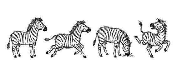 Naklejka premium zebra , pen scribble , kid Hand drawn , vector