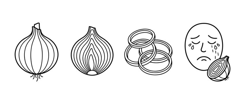 A unique lineart depiction of an onion illustrates both its physical appearance and the emotional response it evokes, symbolizing layers of human feelings.