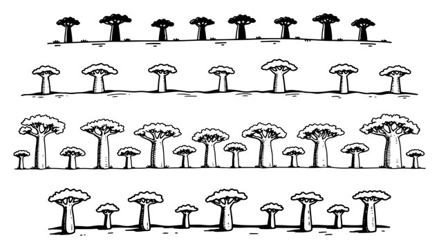 Baobab trees collection for african savanna landscape in hand drawn style