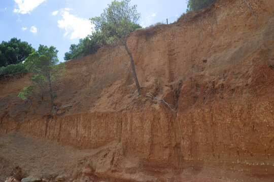 High Red Clay Cliffs and Eroded Shoreline at Podbrizi Beach, Vrgada