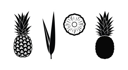 Tropical fruit arrangements in a striking black silhouette © Jesmin